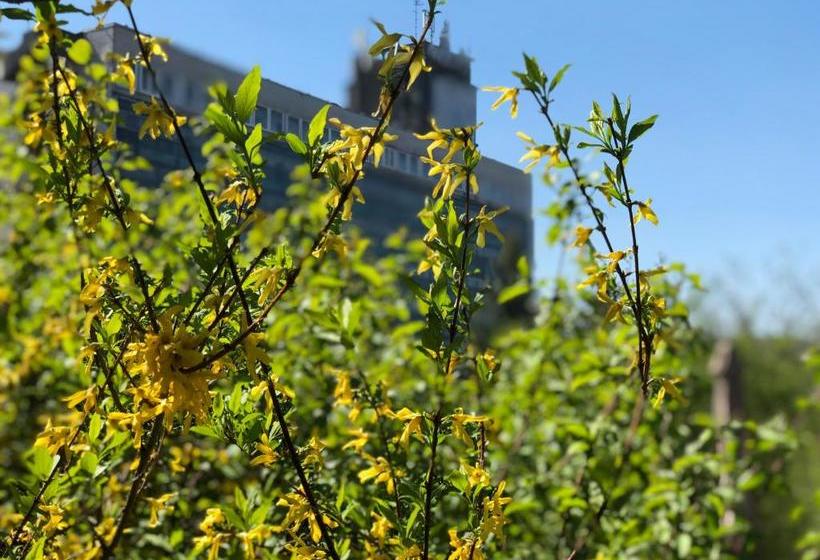 ペンション Juno Apartman Vendégház