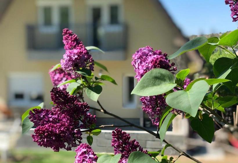 ペンション Juno Apartman Vendégház