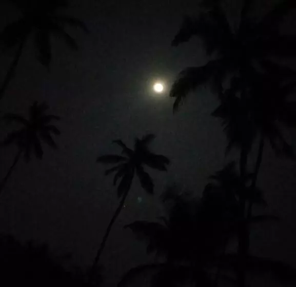 Majatalo Om Ganesh Naik Guest House