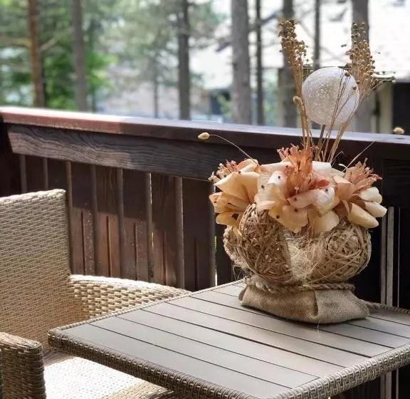 Zlatibor Apartmani Jakovljevic