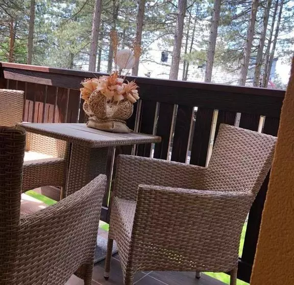 Zlatibor Apartmani Jakovljevic