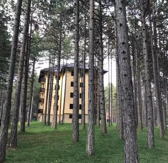 Zlatibor Apartmani Jakovljevic