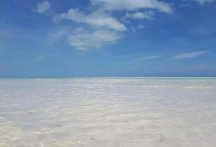 Casa Vainilla Holbox Island