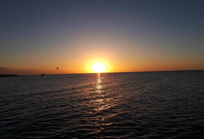 Casa Vainilla Holbox Island