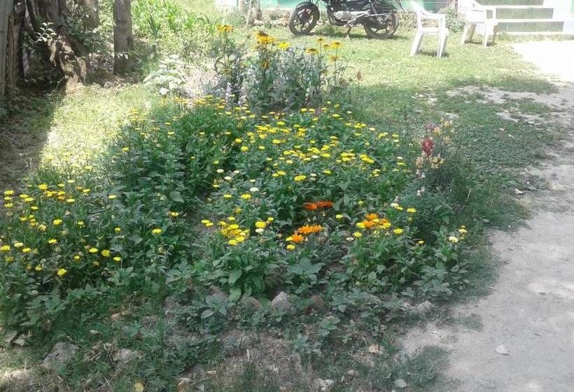 Pensão Alamdar Guest House