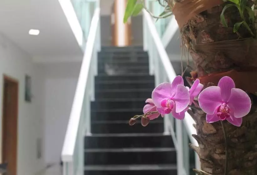 ペンション Pousada Orquideas De Maria