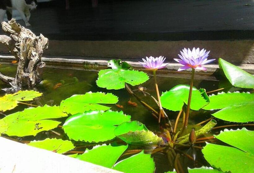 بنسيون River Retreat Sigiriya