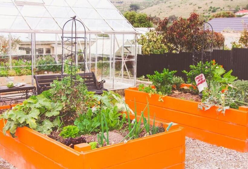 호스텔 Oamaru Backpackers