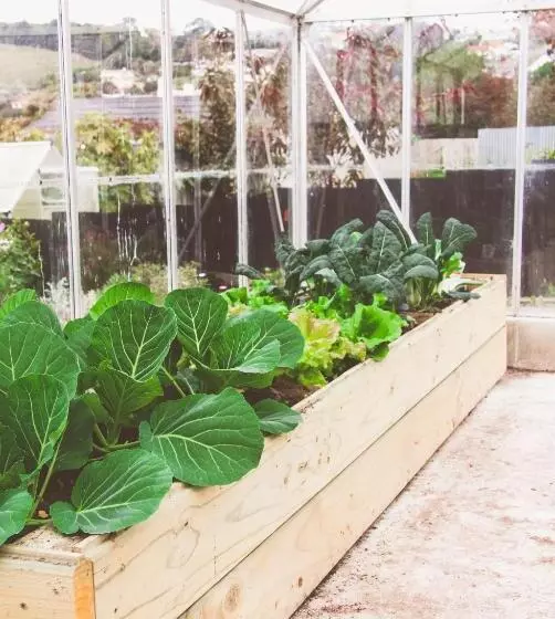 Retkeilymaja Oamaru Backpackers