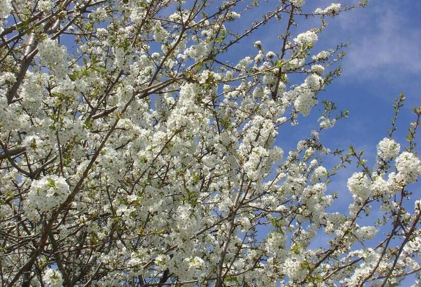 ホテル Agriturismo Girasole
