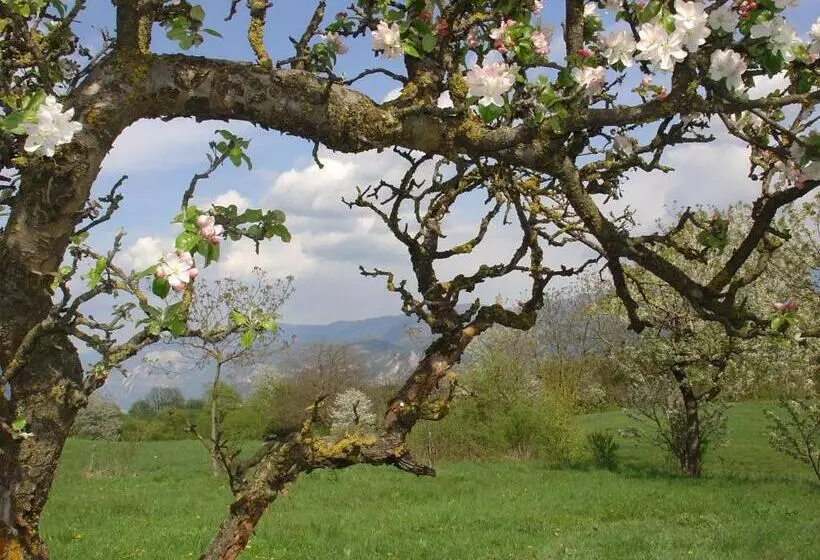 ホテル Agriturismo Girasole