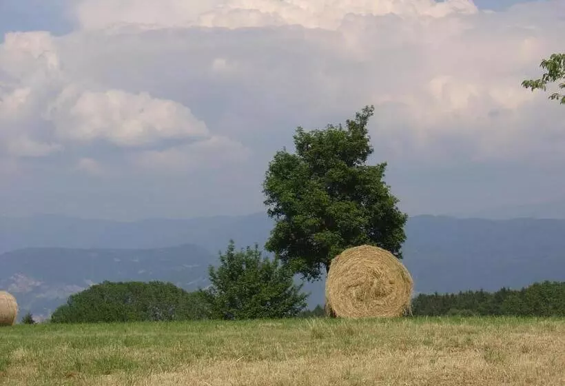 ホテル Agriturismo Girasole