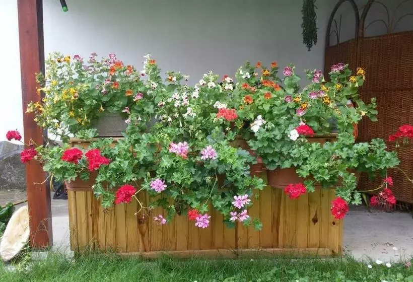 Majatalo Borova House