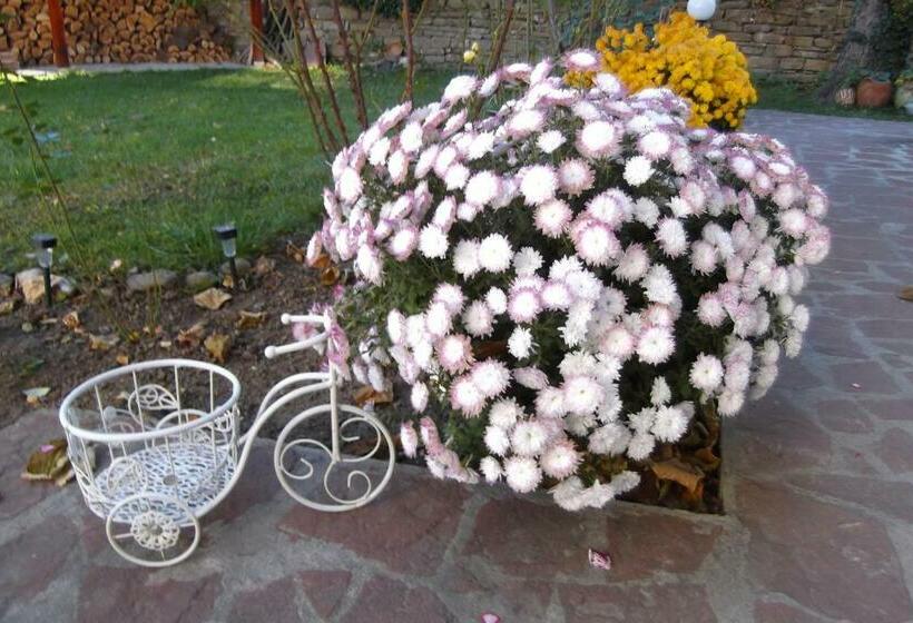 ペンション Borova House