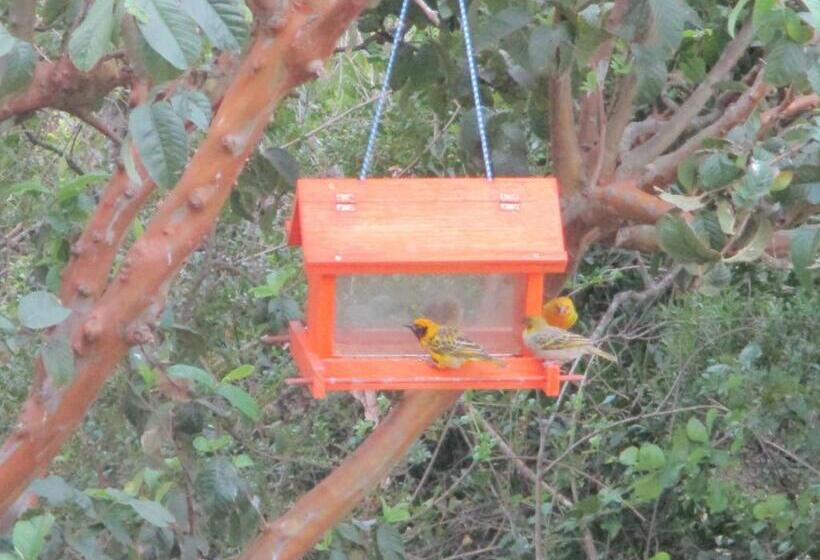 ペンション Cintsa View