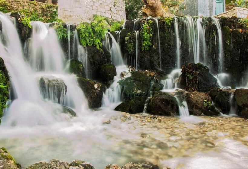 پانسیون Guest House Luiza