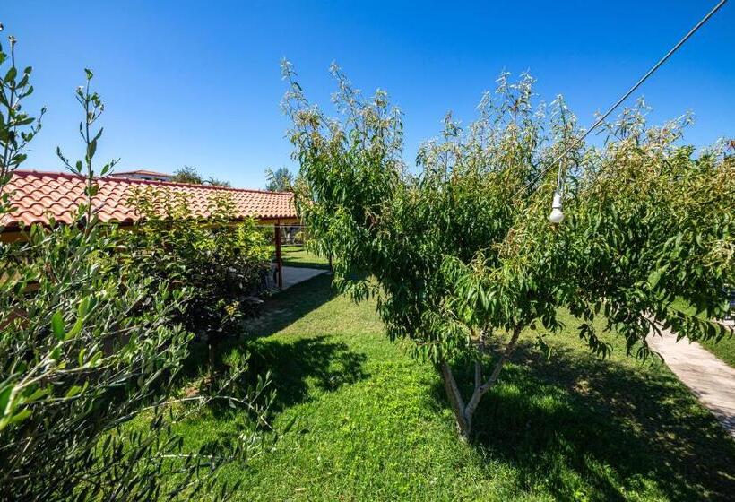 پانسیون Guest House Luiza