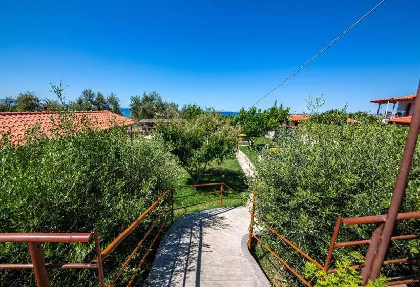 پانسیون Guest House Luiza