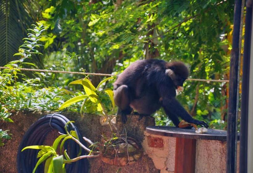 پانسیون Hiru Resort Inn Unawatuna