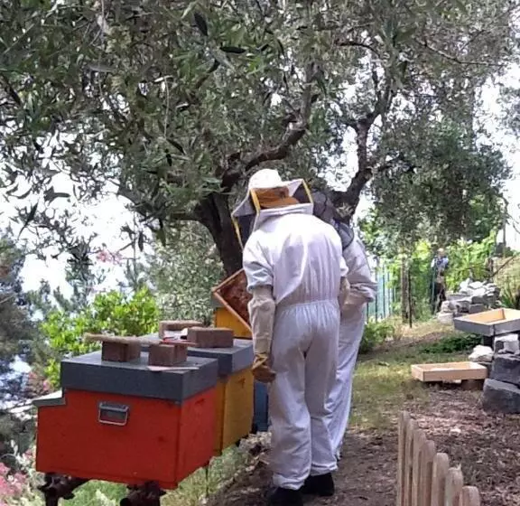 پانسیون Il Nettare