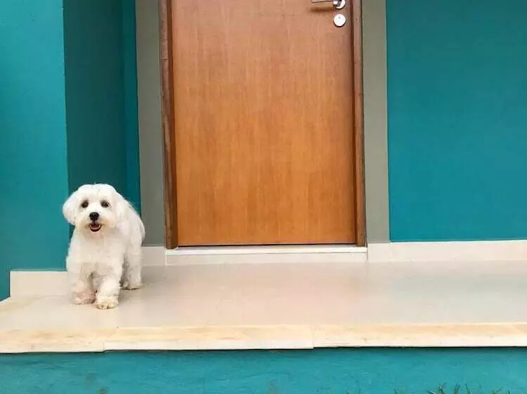 پانسیون Recanto Das Tiribas