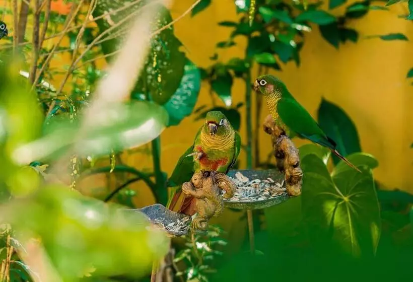 پانسیون Recanto Das Tiribas