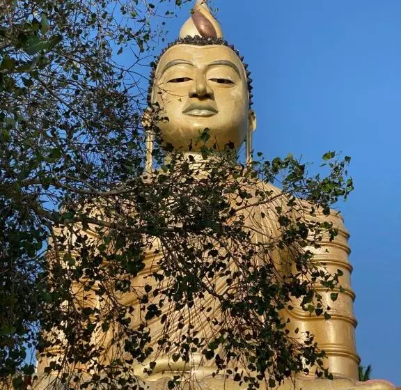 Majatalo Singhe House