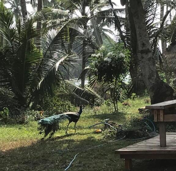 Пансион Singhe House