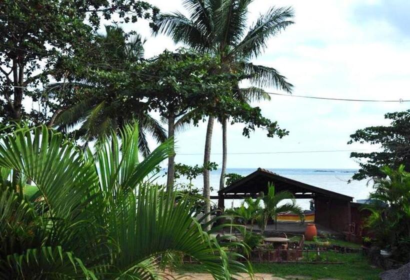 פנסיון Viraj S Garden