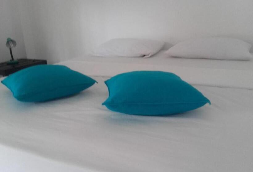 פנסיון Viraj S Garden