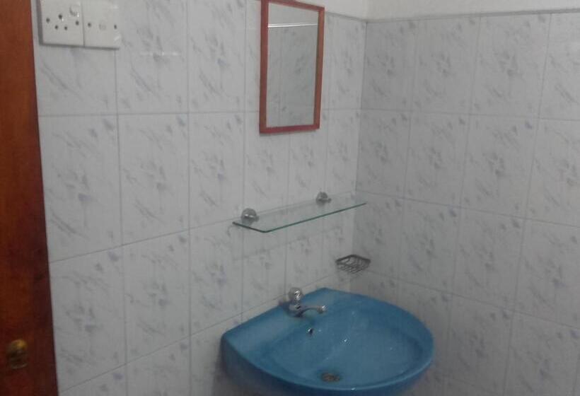 פנסיון Viraj S Garden