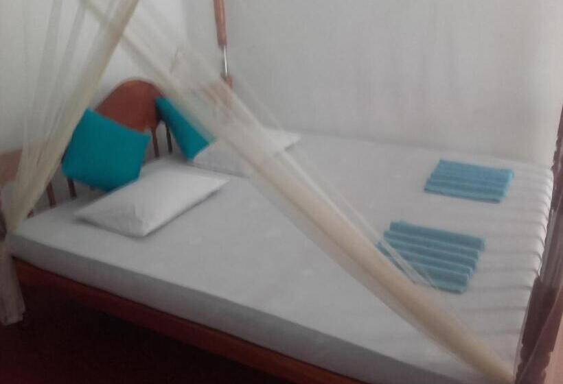 פנסיון Viraj S Garden