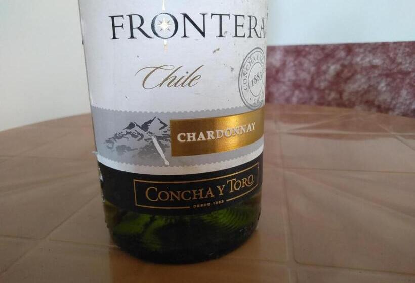 פנסיון Viraj S Garden