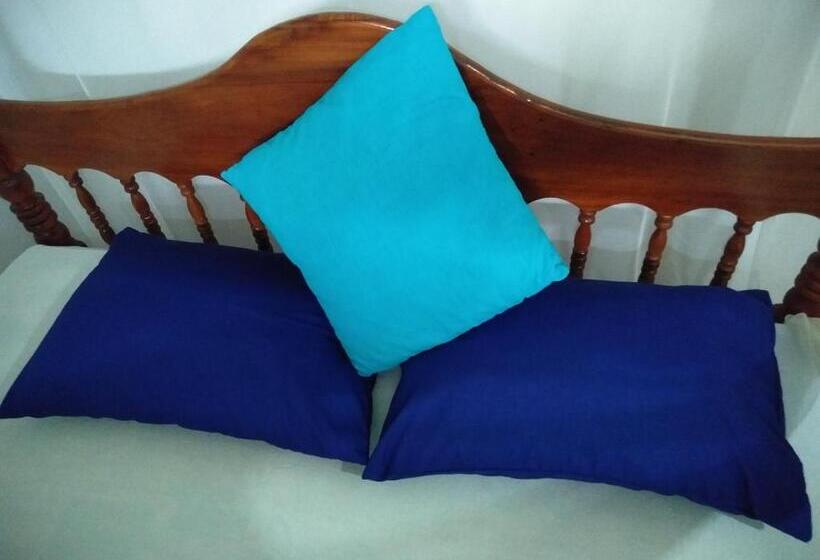 פנסיון Viraj S Garden