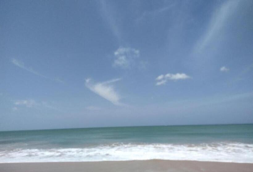 פנסיון Viraj S Garden