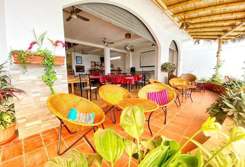 Vandrarhem Whale House