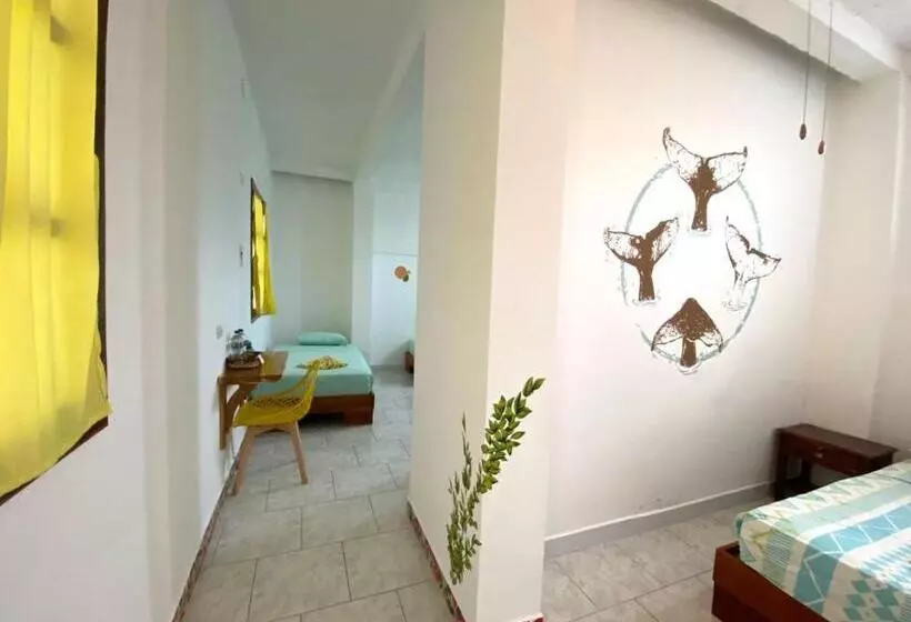 ユースホステル Whale House