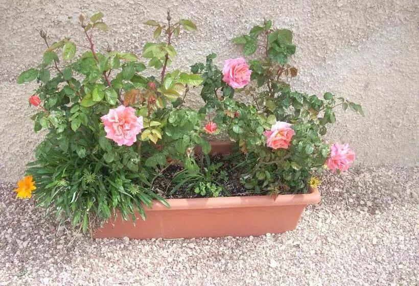 ホテル Agriturismo La Rosa Montefalco