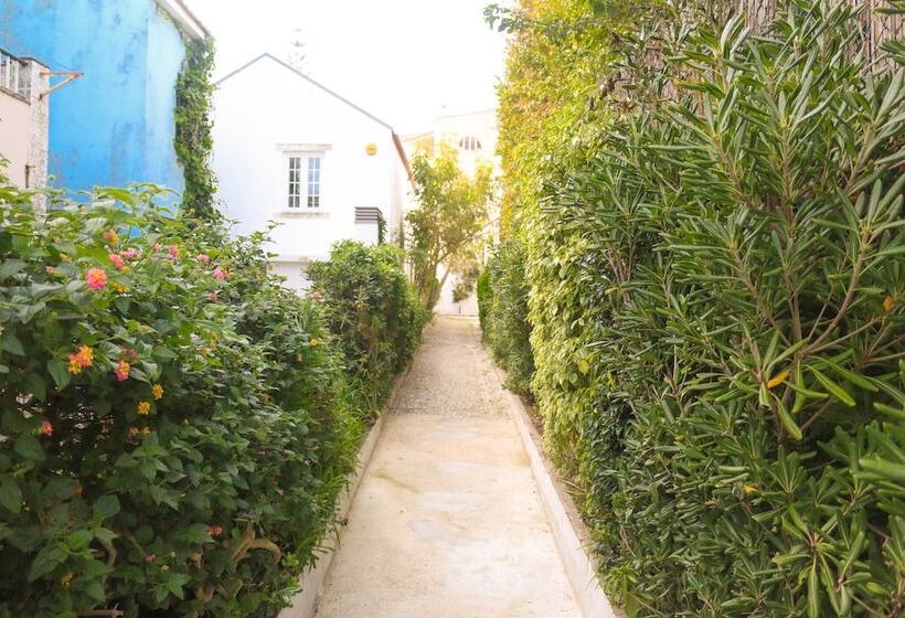 Пансион Casa Londres