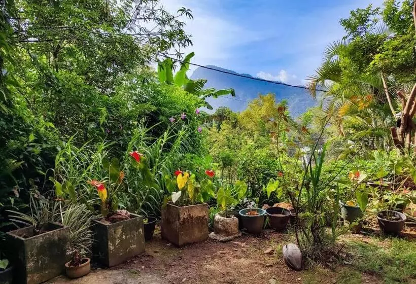 پانسیون Eden View Ella   Tour Options In The Area