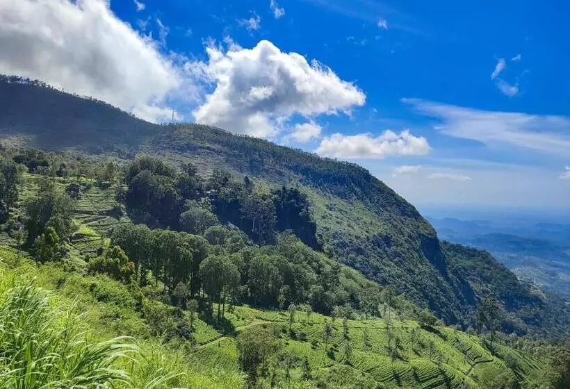 پانسیون Eden View Ella   Tour Options In The Area