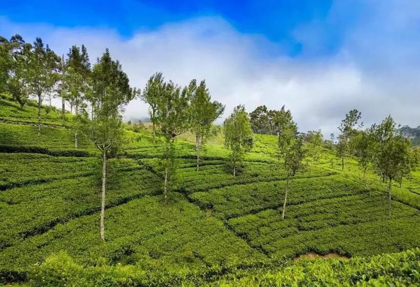 پانسیون Eden View Ella   Tour Options In The Area