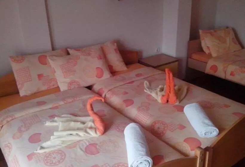 پانسیون Mitko S Guest House