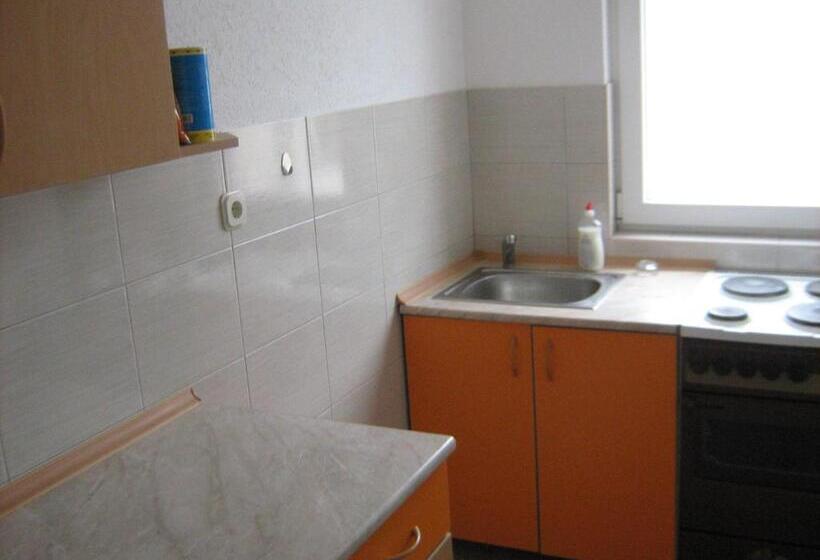 پانسیون Mitko S Guest House