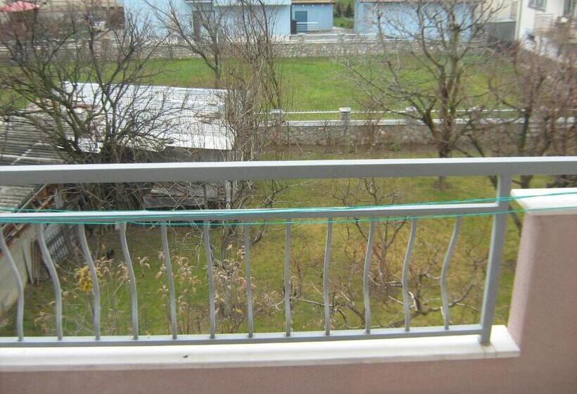 پانسیون Mitko S Guest House