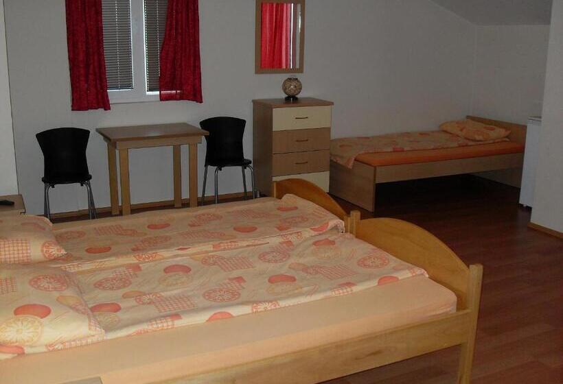 پانسیون Mitko S Guest House