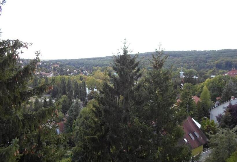 פנסיון Panoráma Vendégház