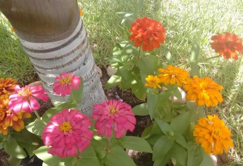 Majatalo Pecem Suites