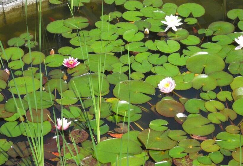 펜션 Penzion Gerta