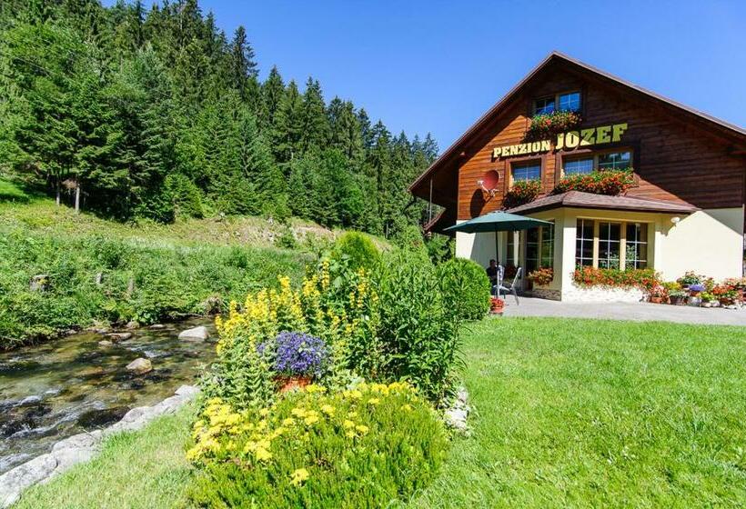 펜션 Penzion Jozef